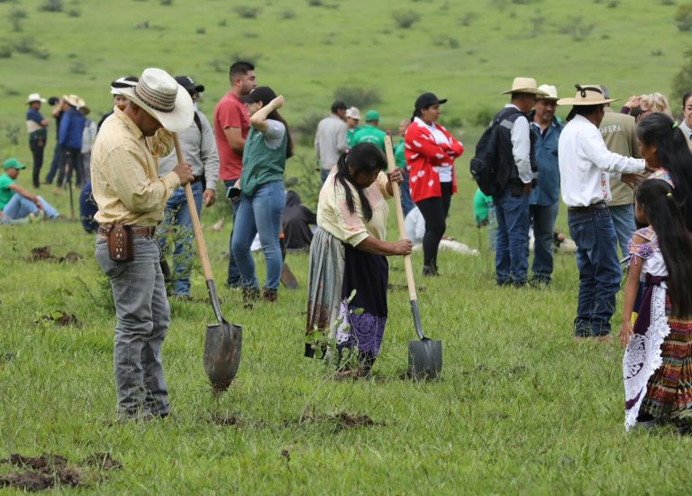 Más de 10 mil michoacanos se suman a la Jornada Nacional de Reforestación: Bedolla