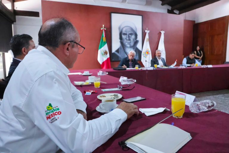 Gobernador e integrantes de Apeam trazan ruta ambiental, de sanidad y seguridad para el aguacate 