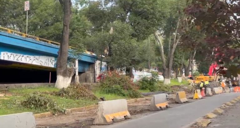 Se plantarán muchos más árboles de los que se retirarán por obras del Morebús, asegura alcalde