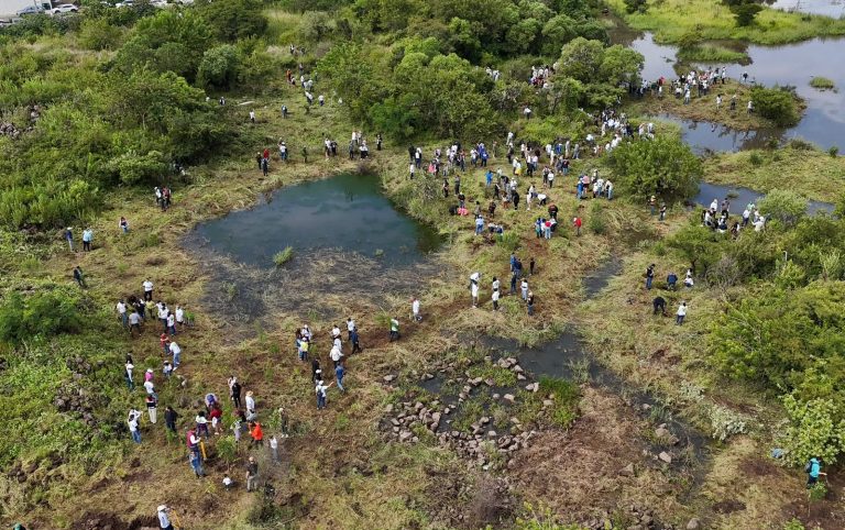 Inicia Bedolla reforestación de 32 mil árboles por obra del Morebús; plantan los primeros 5 mil en Villas del Pedregal