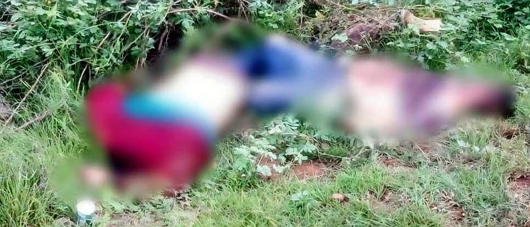 Hallan a dos hombres muertos y con huellas de violencia, en Turicato