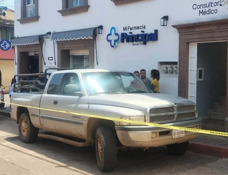 Adulto mayor muere tras ser atacado por abejas en Tacámbaro