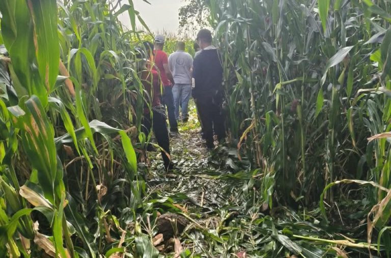 Localizan a cazador sin vida dentro de barranco en Peribán