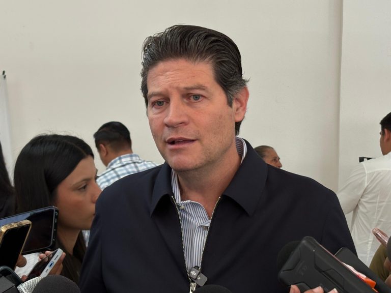 Las estrategias de seguridad de la producción de aguacate son simples aspirinas: Alfonso