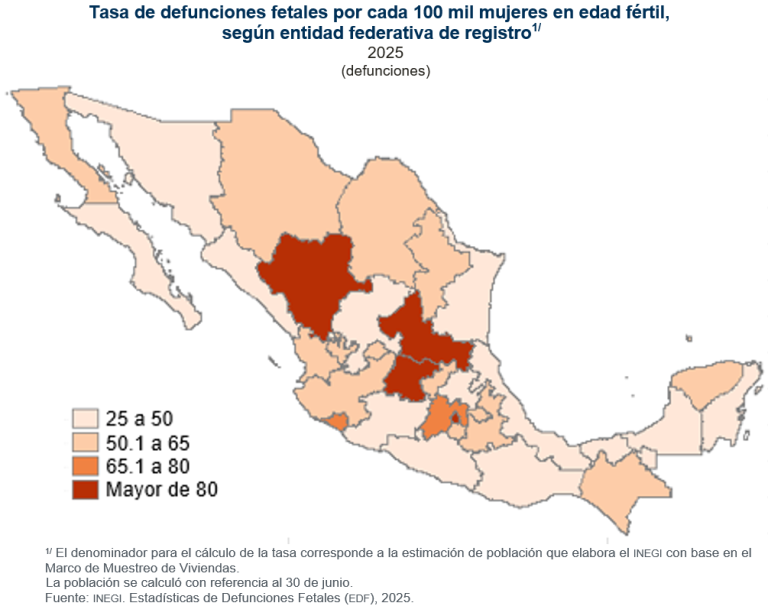 En 2025 se registraron 20 mil 741 muertes fetales