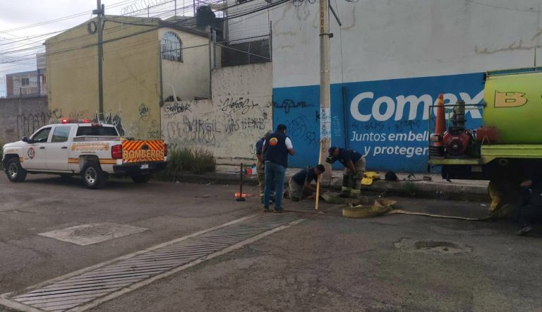 Rescatan a cinco patos atrapados en una alcantarilla de Morelia