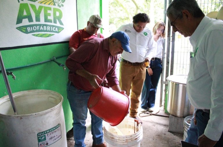 Impulsan producción de abonos orgánicos para reducir costos agrícolas en Tacámbaro