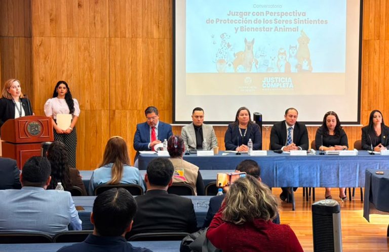 Impulsa Poder Judicial de Michoacán reflexión sobre la protección de los seres sintientes y el bienestar animal