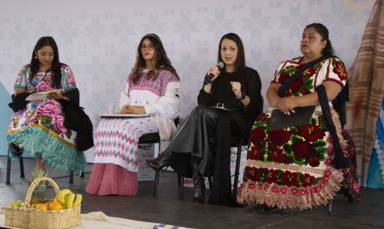 Participación de las mujeres en sus comunidades es un derecho, no una condición: TEEM