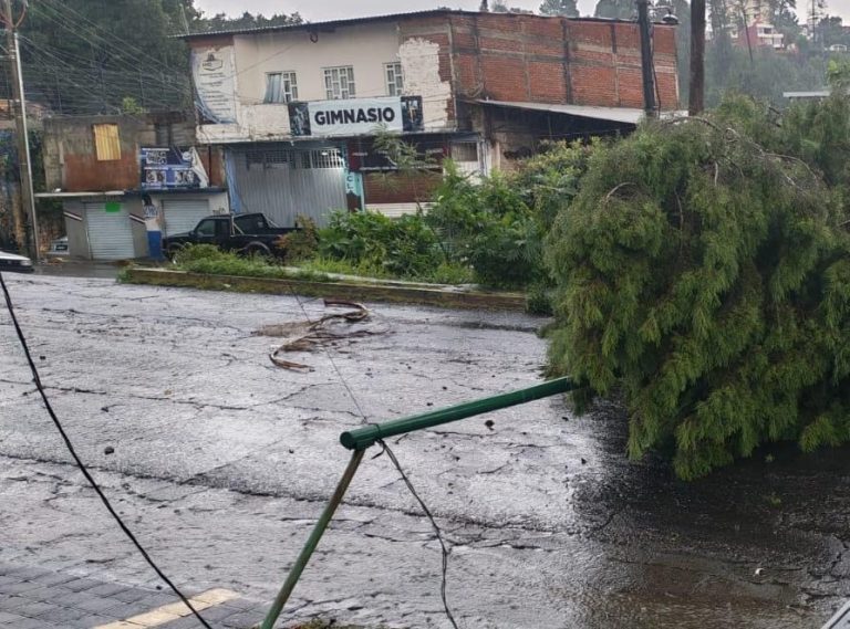 Fuerte tromba derriba árboles y causa afectaciones en distintos puntos de Uruapan