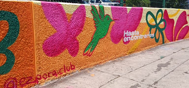 Se les brinda apoyo a madres buscadoras en temas de salud personal, emocional y física