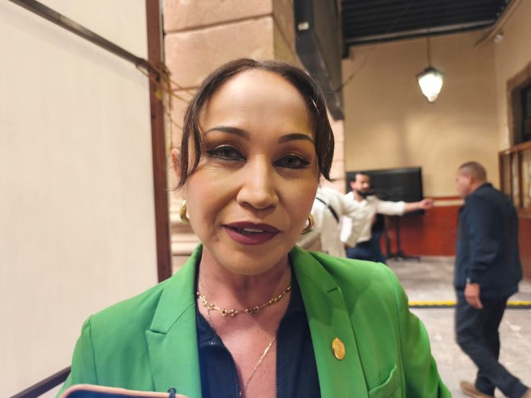 Morena podría seguir el camino del PRD si no concilia a sus grupos, advierte Itzé Camacho