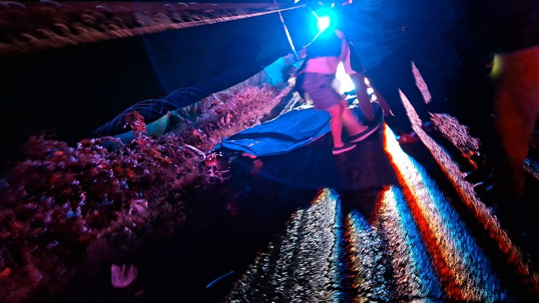 Muere atropellado un ciclista, en Los Reyes