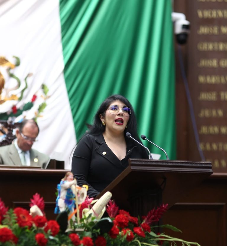 La oposición es necesaria: Vanhe Caratachea