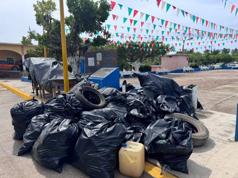 Retiran 10 toneladas de cacharros para prevenir el dengue en Lázaro Cárdenas