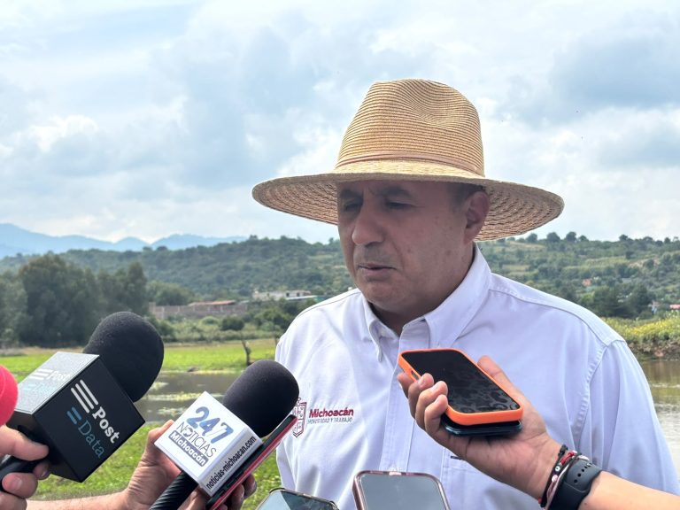 Huracán pone en riesgo millones de huevos de tortuga en costas de Michoacán