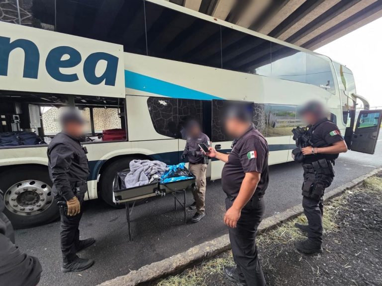 Aseguran arma larga y cerca de un kilo de marihuana en autobús sobre la Autopista de Occidente