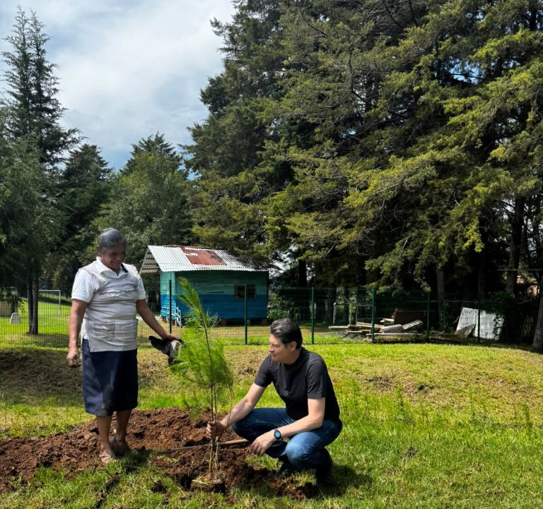 Realizan vecinos de Atécuaro jornada de reforestación
