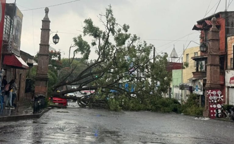Tormenta eléctrica provoca inundaciones, caída de árboles y apagones en Morelia