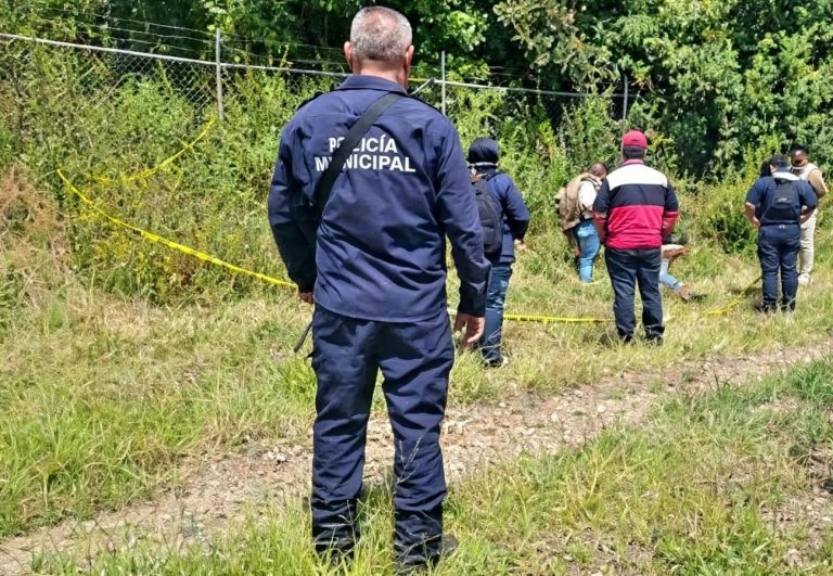 Localizan a hombre asesinado en un predio de Purépero