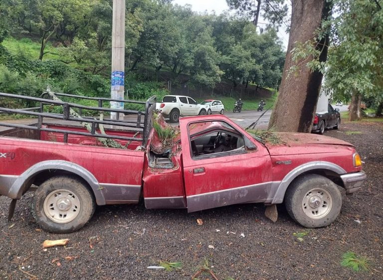 Pino colapsa y aplasta camioneta en la carretera Tacámbaro-Pátzcuaro; hay cuatro heridos
