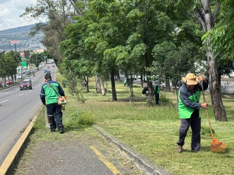 Realiza ayuntamiento trabajos de mantenimiento en el periférico Revolución