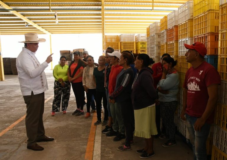 Denuncian productores de mango que Gobierno del Estado pretende despojarlos de una empacadora en Múgica