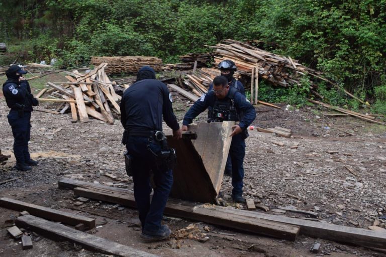 FGE asegura maquinaria para procesamiento de madera durante cateos en Madero