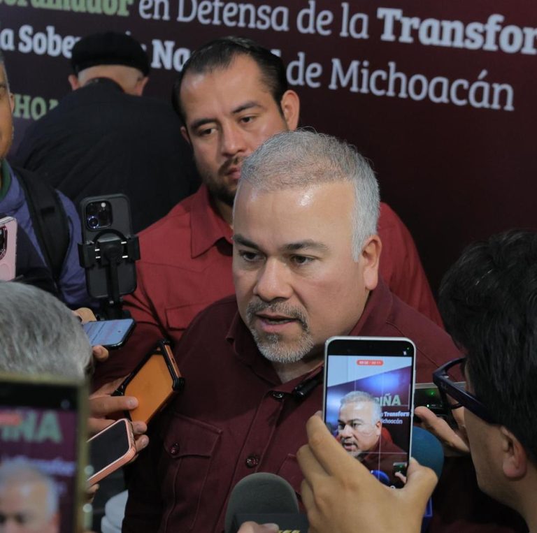 Cierra MORENA proceso interino y ratifica a Torres Piña como coordinador estatal