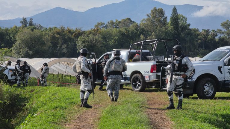 Ejecutan a dos hombres dentro de baños portátiles, en predios agrícolas de Jacona