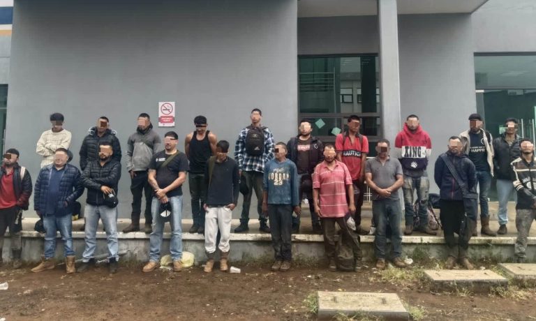 Capturan a 20 hombres señalados de robo de aguacate, en Uruapan