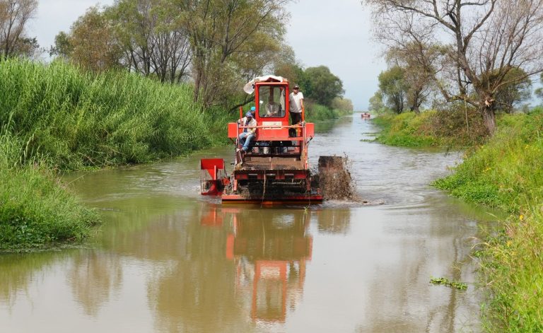 Por concluir rehabilitación de los canales de Chapultepec e Ihuatzio, en el lago de Pátzcuaro