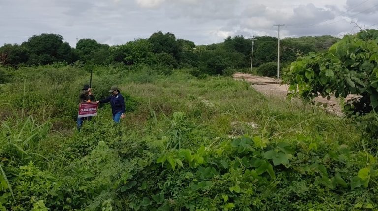 Clausuran tres sitios por falta de autorizaciones ambientales en Lázaro Cárdenas