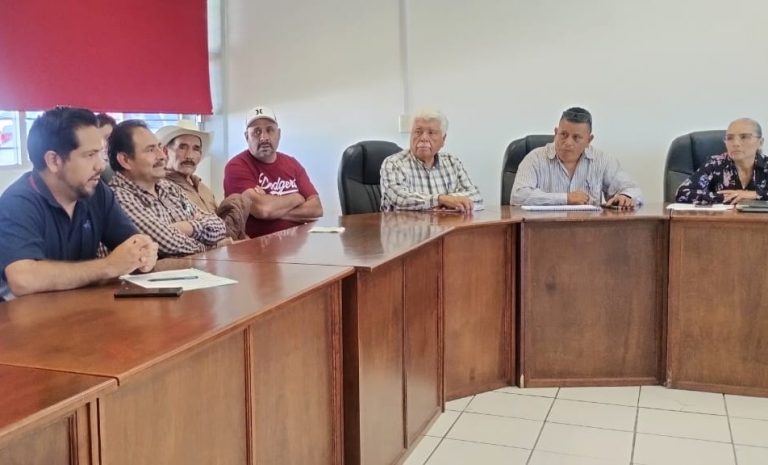 Proponen fortalecer la producción y productividad forestal maderable en Michoacán