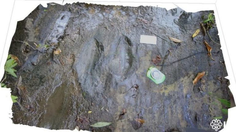 Apatzingán también fue tierra de dinosaurios
