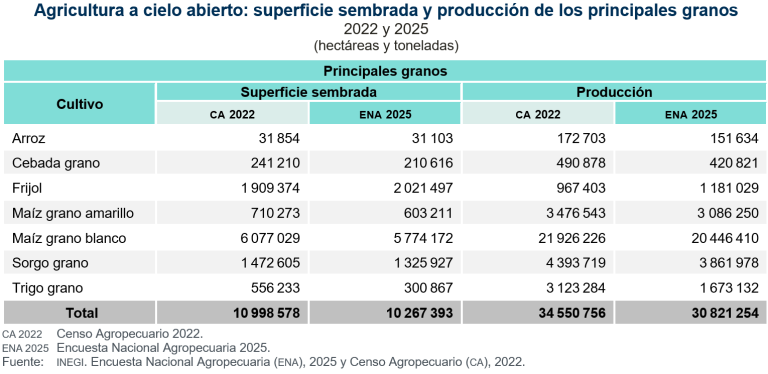 Con 20.4 millones de toneladas, maíz grano blanco, principal cultivo en México, en 2025