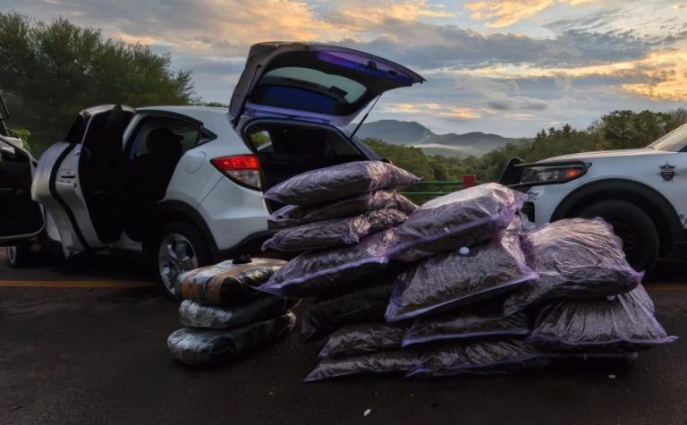 Aseguran camioneta y 250 kilos de mariguana en la autopista Siglo XXI