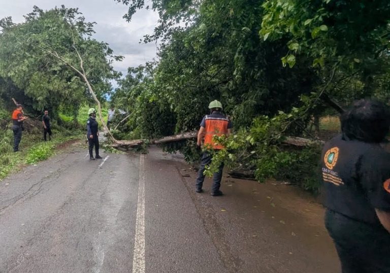 Reporta Coahuyana deslaves carreteros, caída de árboles y crecida de ríos