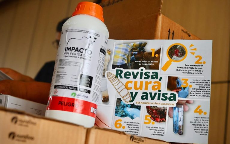 Entregan medicamentos contra el Gusano Barrenador a 53 municipios