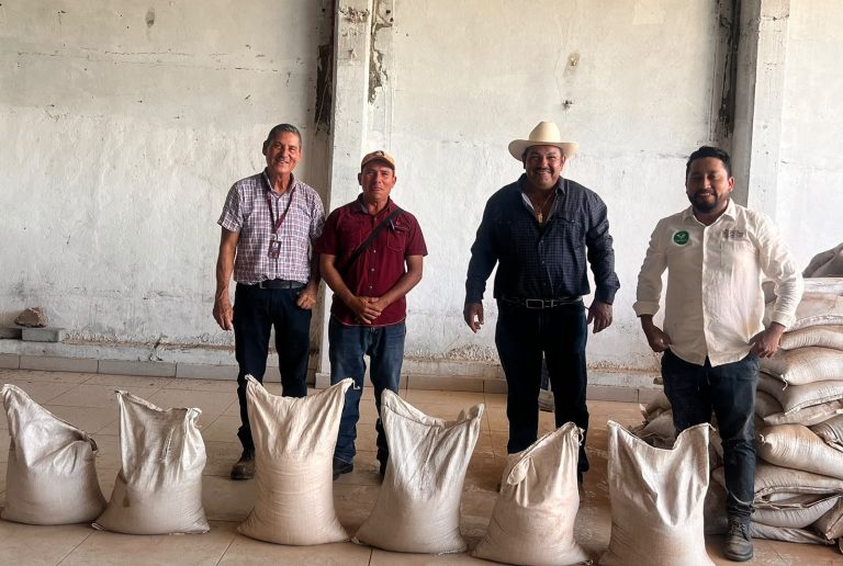 Impulsan agricultura sustentable en Nuevo Urecho
