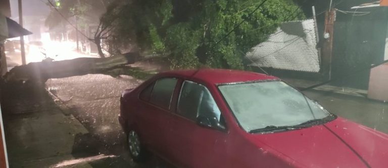Tromba derriba árboles y genera inundaciones en varios puntos de Uruapan
